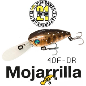 Pontoon21 Mojarrilla 40F-DR 