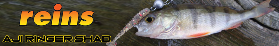 Reins Aji Ringer Shad 1,5