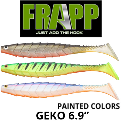 Frapp Geko painted colors 6,9"