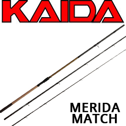 Kaida Merida Match