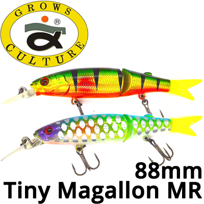 Grows Culture Tiny Magallon MR