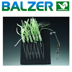 Balzer Red Barsch (14826 600)