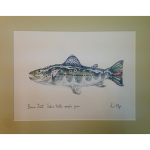 Репродукция Форель Brown Trout
