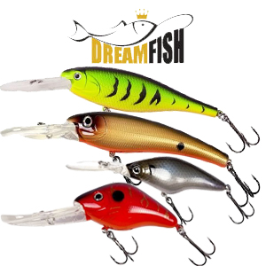DreamFish