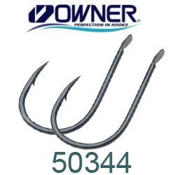 Owner 50344 Chinu