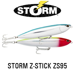 Storm Z-Stick ZS95