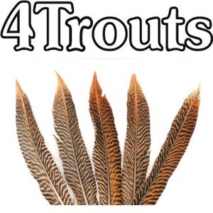 4Trouts Перо с хвоста золотого фазана