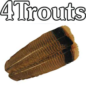 4Trouts Перо с хвоста индюка