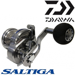 Daiwa Saltiga