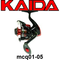Kaida mcq01-05