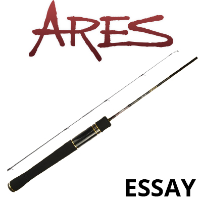 Ares Essay (SIC-S)