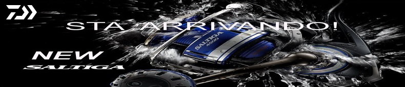 Daiwa Saltiga '15