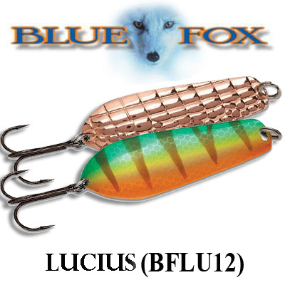 Blue Fox Lucius BFLU12