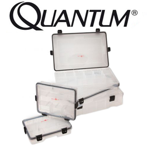 Quantum