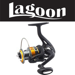 Lagoon Falcon