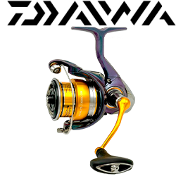 Daiwa 24 Regal CS LT