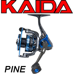 Kaida PINE