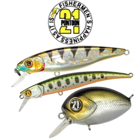 Pontoon 21