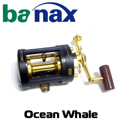 Banax Ocean Whale 