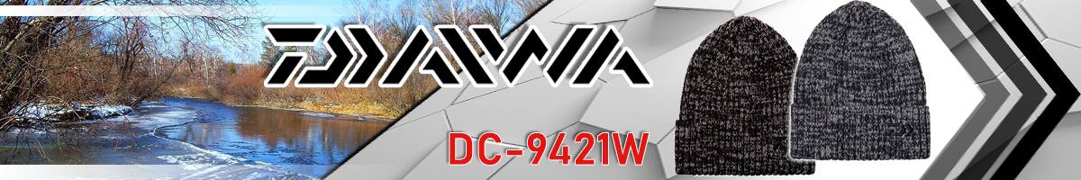 Daiwa DC-9421W
