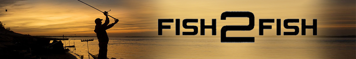Fish2Fish Saturn Feeder