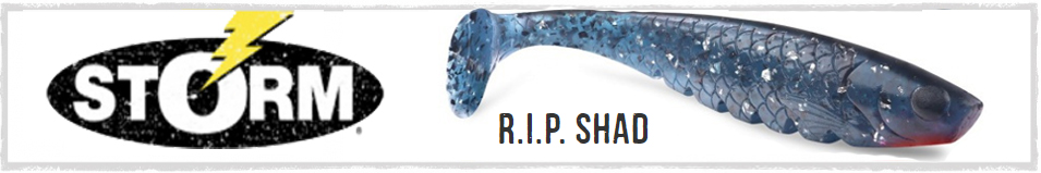 Storm R.I.P. Shad RSD06