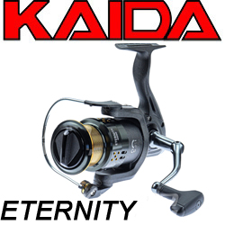 Kaida Eternity