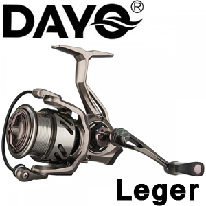 Dayo Leger