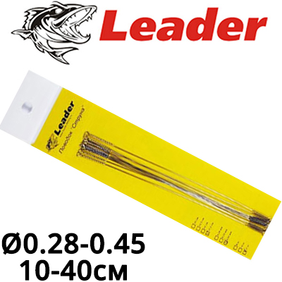Leader "Струна"  