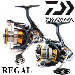 Daiwa Regal