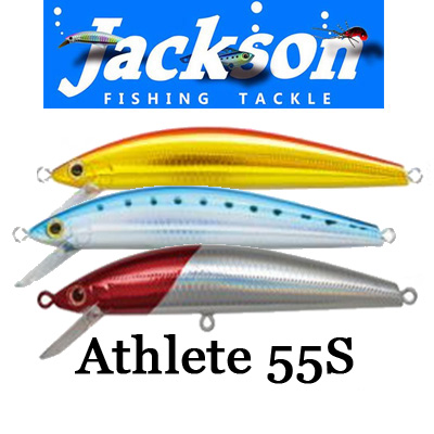 Jackson Athlete 55S