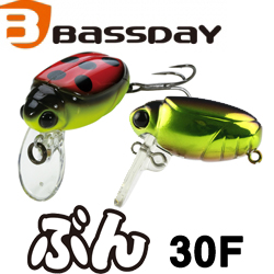 Bassday Bun 30F