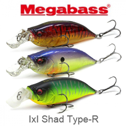 Megabass IxI Shad Type-R