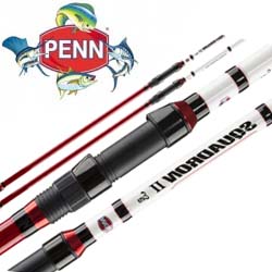 Penn Squadron II Euro Surf