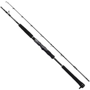 Удилище мультипликаторное для джиггинга Shimano 25 Ocea EJ B58-6 (173 см. тест Max 400 гр.)