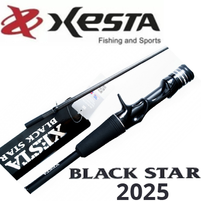 Xesta Black Star 2025