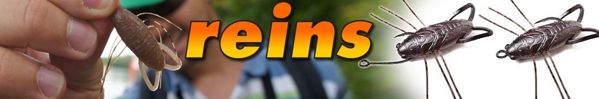 Reins Insecter 1.6