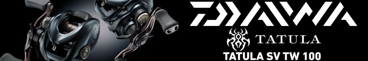 Daiwa 25 Tatula SV TW