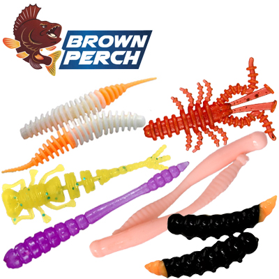 Brown Perch