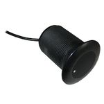 Датчик Raymarine CPT-S Plastic ThruHull 0° Angled Element (E70339)