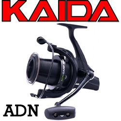 Kaida ADN-Carp