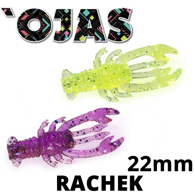 Ojas Rachek 22