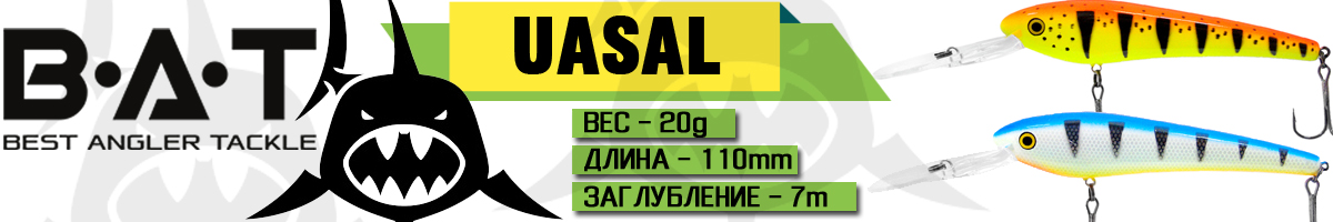 BAT Uasal BT053