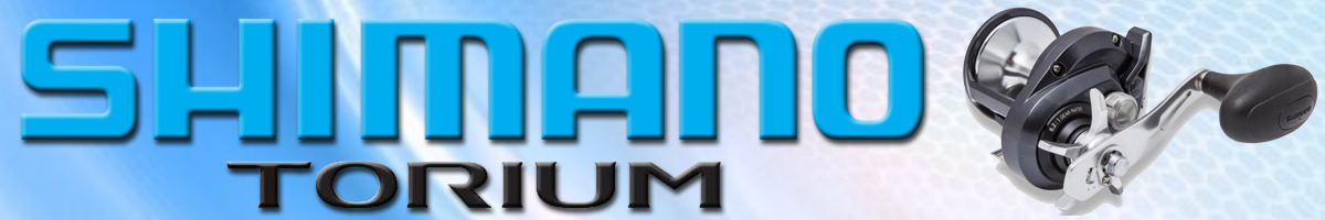 Shimano Torium HGA