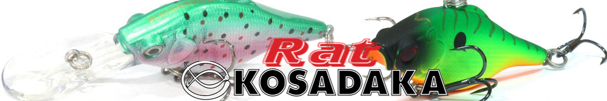 Kosadaka Rat
