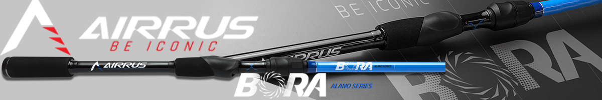Airrus Bora