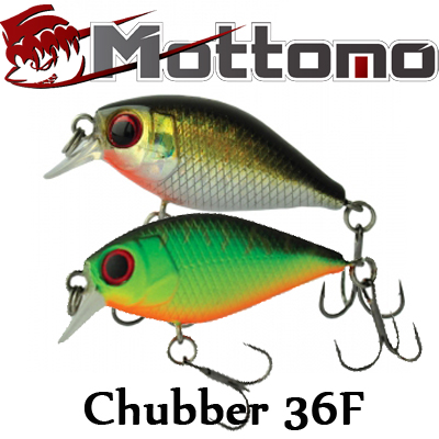 Mottomo Chubber 36F
