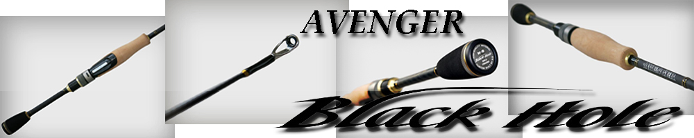 Black Hole Avenger