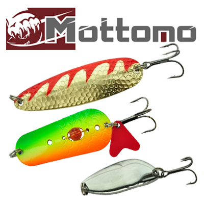 Mottomo
