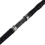 Морской спиннинг Balzer Adrenalin Artic Jigger Spin 1,97м 30 lbs (11004 130)